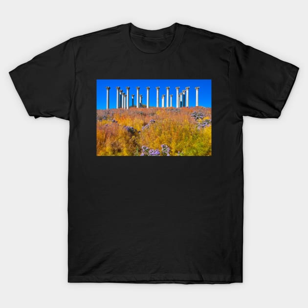 Capitol Arboretum Columns T-Shirt by somadjinn